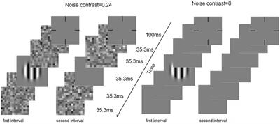 Short-term monocular pattern deprivation reduces the internal additive noise of the visual system